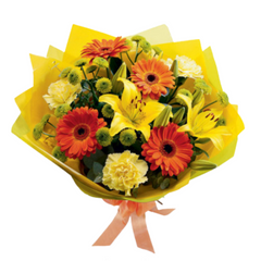 Gerberas