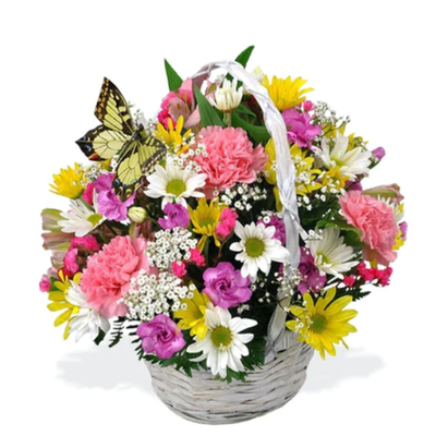 Basket of Cheer