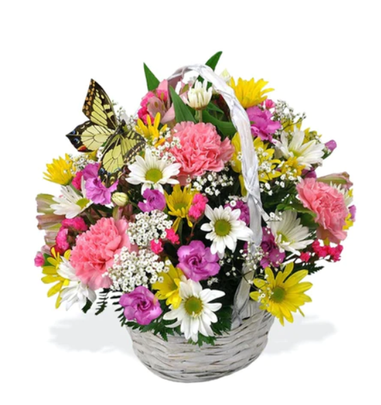 Basket of Cheer