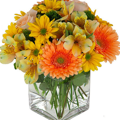 Best Wishes